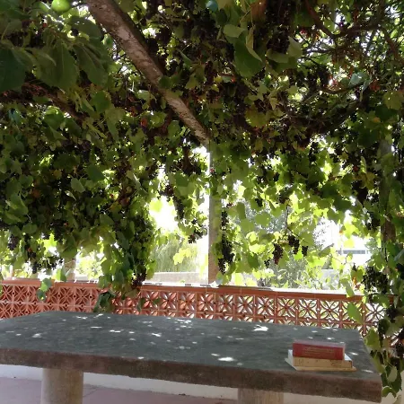 Casa Joao Do Vale Semesterbostad Delgada