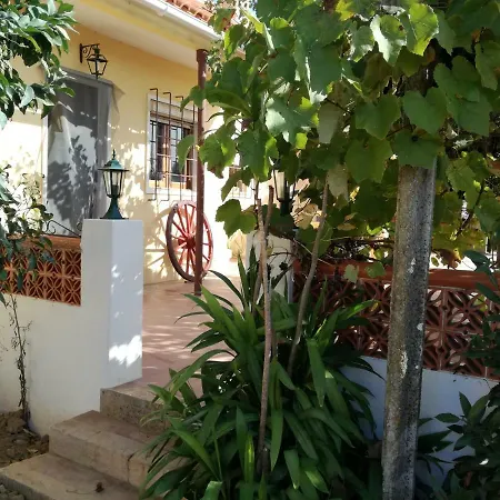 Casa Joao Do Vale Semesterbostad Delgada