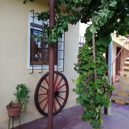 Casa Joao Do Vale Semesterbostad Delgada